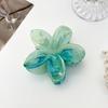 Gradient Flower Hair Accessories Set Beach Style Hairpins Flower Claw Clips Summer Flower Hairpins Hawaiian Style