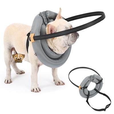Görme Engelli Evcil Köpekler ve Kediler için Emniyet Kemeri Rahat ve Ayarlanabilir Kör Halkaları Görme Engelli Evcil Hayvan Rehberliği için Tasma
