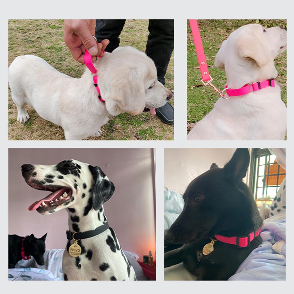 PVC Waterproof Dog Collar Nylon Comfort Pet Collar With Handle for Small Medium Large Dogs
