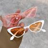 New Multicolor Small Cat Eye Sunglasses Trendy Fashionable Popular Female Eyewear Luxury Brand Designer UV4 Shades for Women