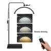 24" U-Shaped LED Beauty Lamp with Floor Stand for Nail, Tattoo, and Eyebrow Art.