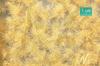 Sil727-35S Tuft Long Gold-Beige Grass 15X4Cm
