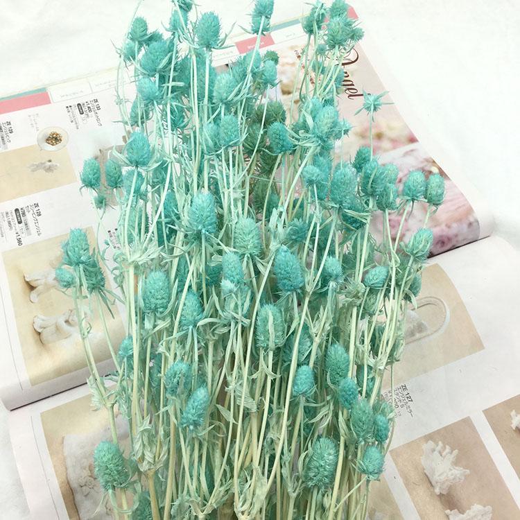 Preserved Eryngium Blue Planet Glass Dome DIY Wedding Flowers