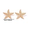 Wind Summer Fresh Ocean Shell 18k Gold Stainless Steel Starfish Earrings Earrings Jewelry