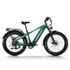 Himiway D5 Step-Over Fat Tire E-Bike – 250W, 48V 20Ah, 125km Range