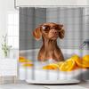 1Pc Shower Curtain With Puppy Bath In Bathtub Pattern - Machine Washable With 12 Hooks For Bathroom Decor And Home Decor