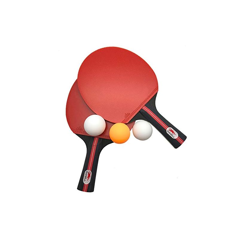 Table Tennis Set (Portable): Includes 4 rackets, 6 ping pong balls, and a storage bag.
