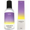 Hoyu Somarca Color Shampoo Purple 150ml + Color Charge (Color Treatment) Purple 130g 2 Assorted