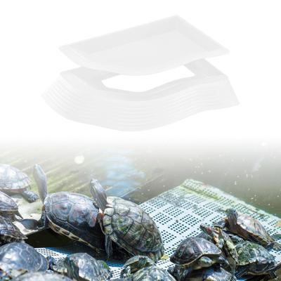 Reptil Badebecken Eidechsen Lebensraum Schildkröte und Futternapf Schildkröte Gericht für