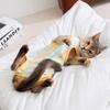 Cat sterilization clothes spring and summer thin anti-licking post-operative clothes female cat weaning clothes anti-harassment physiological