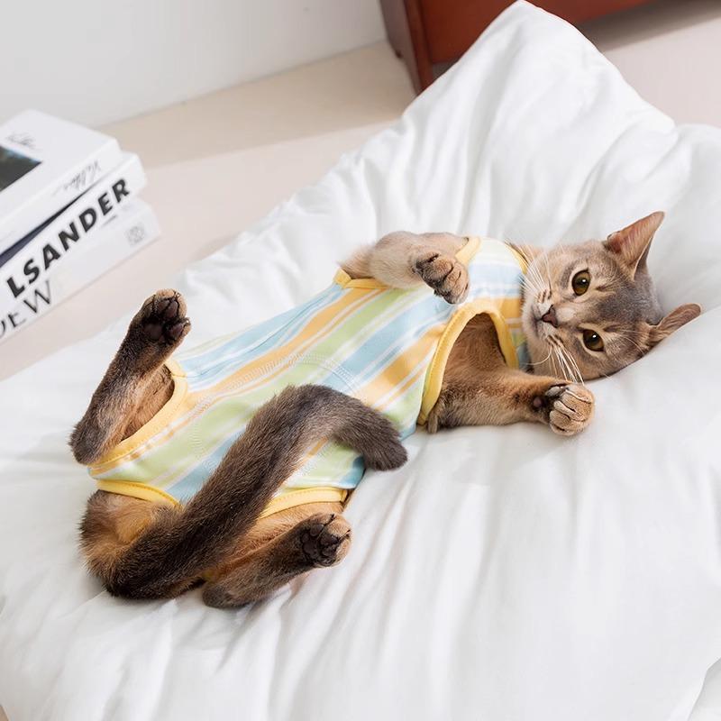 Cat sterilization clothes spring and summer thin anti-licking post-operative clothes female cat weaning clothes anti-harassment physiological