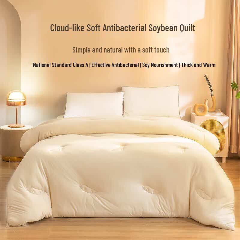 A-Life Cloud Soft Antibacterial Soybean Winter Quilt