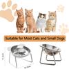 Stainless Steel Cat Bowls Raised Whisker Fatigue Relief Cat Plates Pet Water Dish Kitten Bowls Pet Bowls for Cats Food Bowls