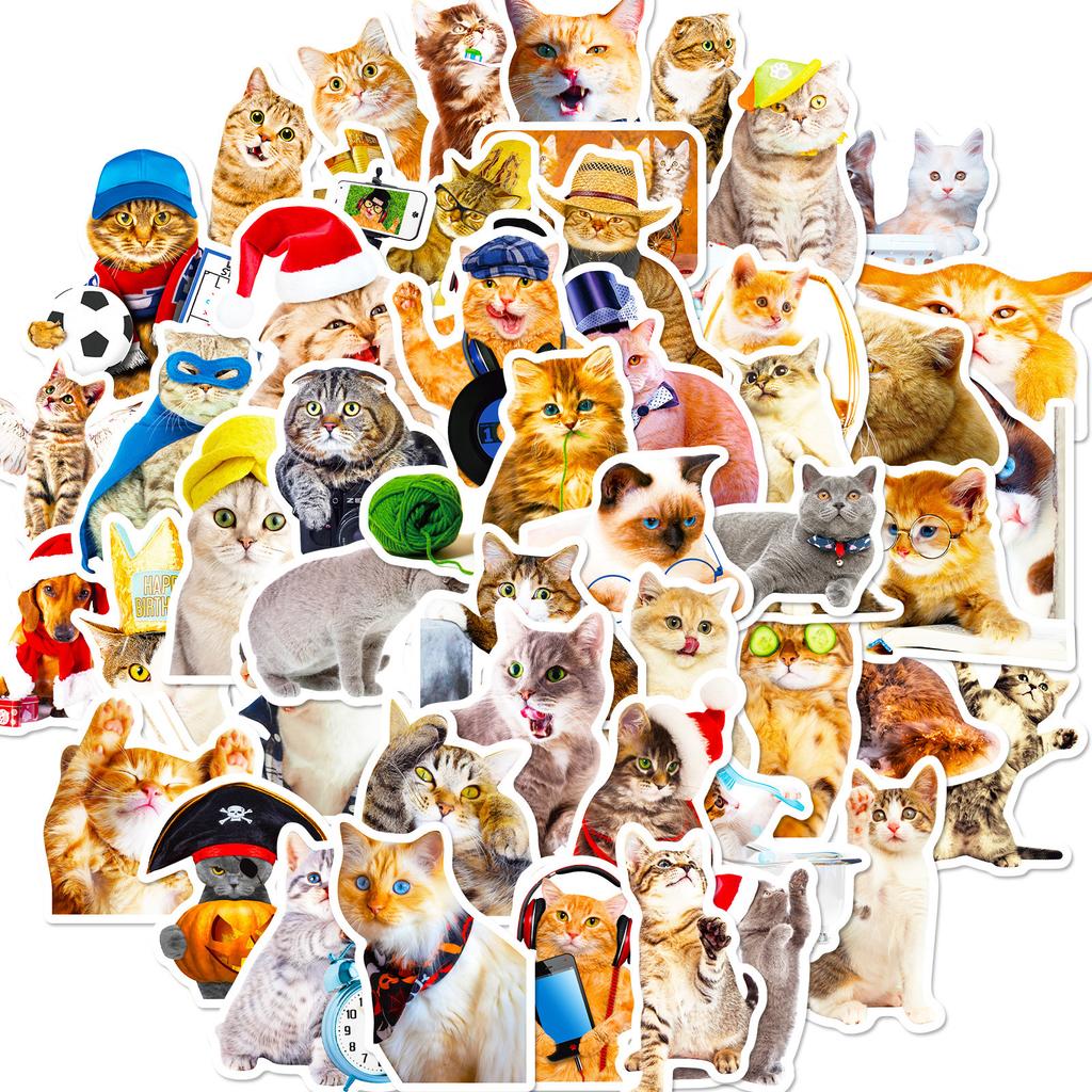 50 Realistic Cat Stickers, Cute Cat Cartoon Graffiti Stickers, Notebook Stationery Box Stickers