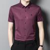Men's Seamless Short-sleeved Shirt, Summer Thin, Young and Middle-aged Men's No-iron Business Casual Nylon Stretch Shirt