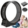 Cat Exercise Wheel 43inch Cats Exercise Running Wheel Cat Wheel Exerciser Running Toy for Indoor Cats Physical Exercise Activity