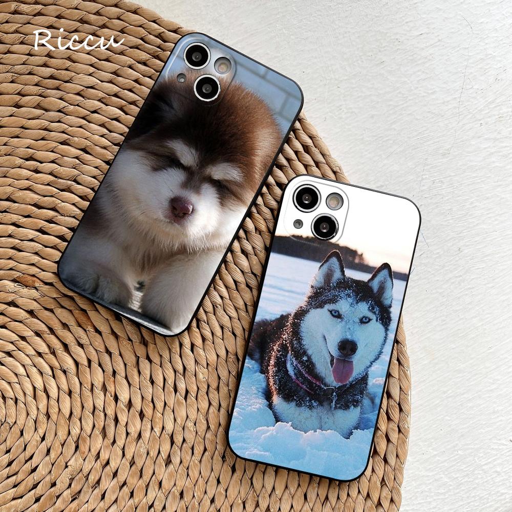 FOR IPhone Cute Alaskan Dog Phone Case FOR IPhone 14 11 12 Pro 8 7 Plus SE X Pro 14 MAX 12 13 MINI XR XS Iphone 14 Phone Covers