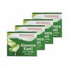 Patanjali Aloevera Kanti Body Cleanser, With Nourishing & Glorifying The Skin, 600gm