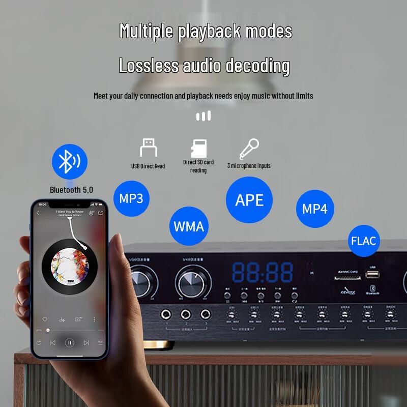 SAST Professional Conference Audio System Set CN plug (adapter included)