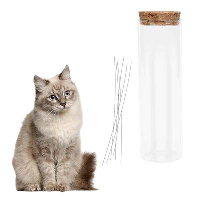 1 Stück Katzenbart-Glas Katzenbart-Sammler Transparentes Katzenbart-Vase Haustier-Erinnerungsbox Verlust der Katze Mitgefühl-Geschenk