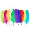 White Goose Nagoire Loose Feather 5-7"/13-18cm Goose Feathers for Crafts Clothing Accessories Feather for Jewelry Making Plumas