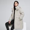 Neue Winter Vielseitige Koreanische Version von Baumwollgepolsterter Kleidung Kapuzen und Dünne Ausländischer Stil Baumwollgepolsterte Jacke