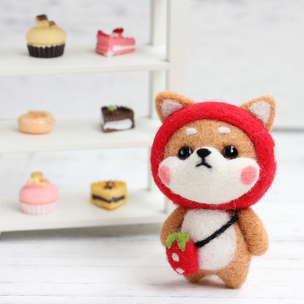 Felting Kit DIY For Beginners With