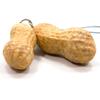Food Sample Strap Eatable Peanuts 020TS -