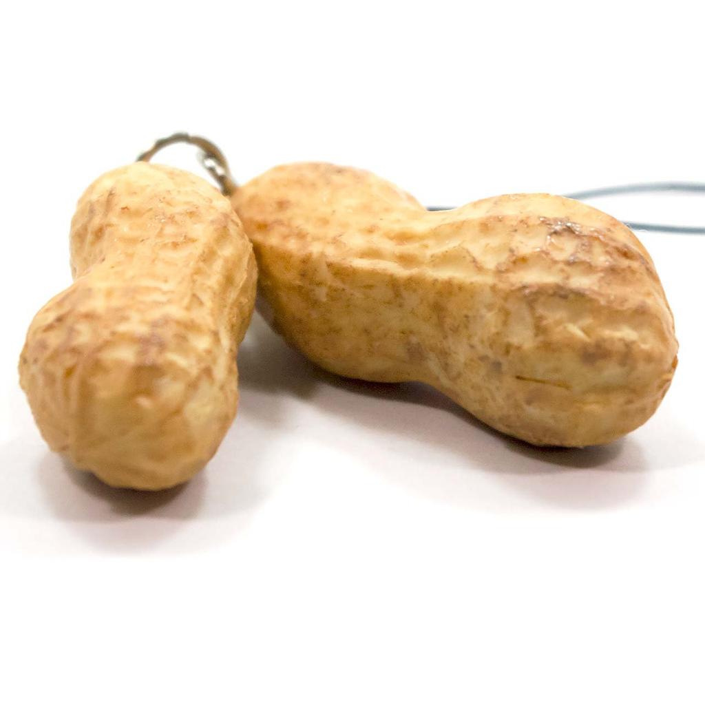 Food Sample Strap Eatable Peanuts 020TS -