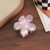 French Atmosphere~ Fairy Transparent Flower Hairpin Grab Clip Female Advanced Sense Back Head Shark Clip