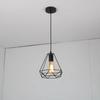 Vintage Pendant Lamp Iron Frame Ceiling Lighting Paint Restaurant Teahouse Chandelier Indoor Wrought Metal Modern Pendant Lights