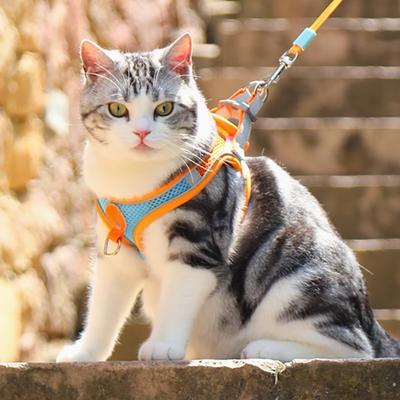 Night Reflective Safety Rope Prevent Breaking Free From Pet Leash Small and Medium-sized Cats and Dogs Going Out with Anti Loss Ropes Pet Harness