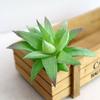 5pcs Mini Artificial Succulents Plant Fake Cactus Garden Home Office Decor Sets