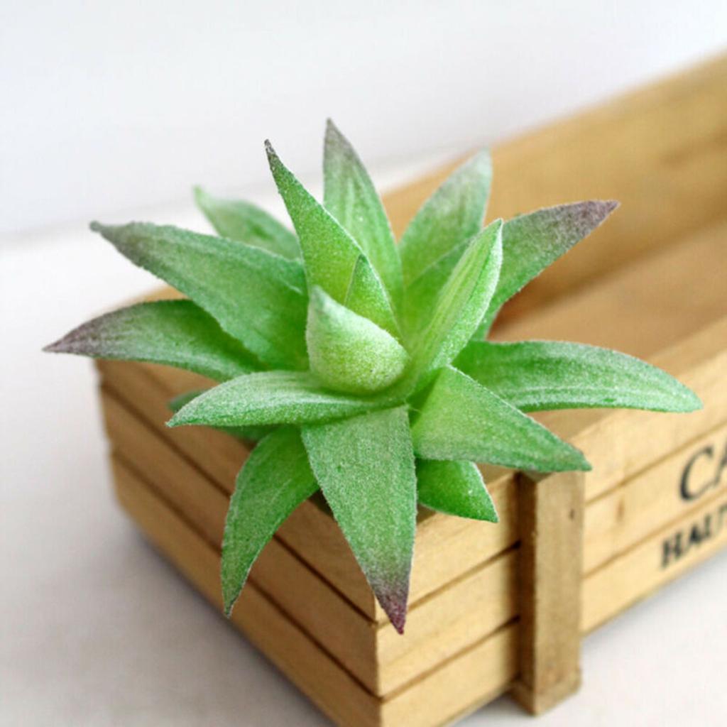 5pcs Mini Artificial Succulents Plant Fake Cactus Garden Home Office Decor Sets