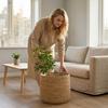 Handwoven Seagrass Plant Basket with Plastic Liner Natural Material Storage Container for Indoor Use Floor Decorative Pot Cover