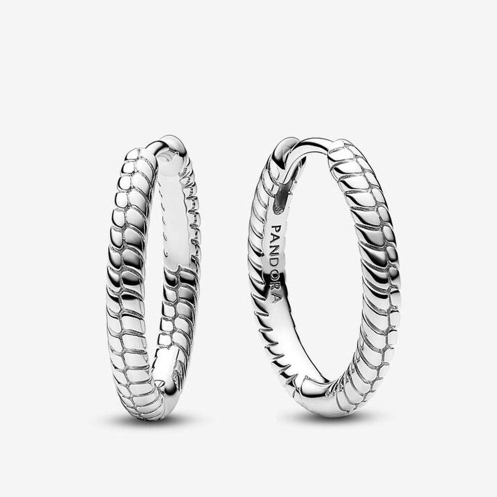 Pandora Moments Small Charm Hoop Earrings 292728C00