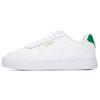 PUMA Caven 'White Amazon Green' 380810-12