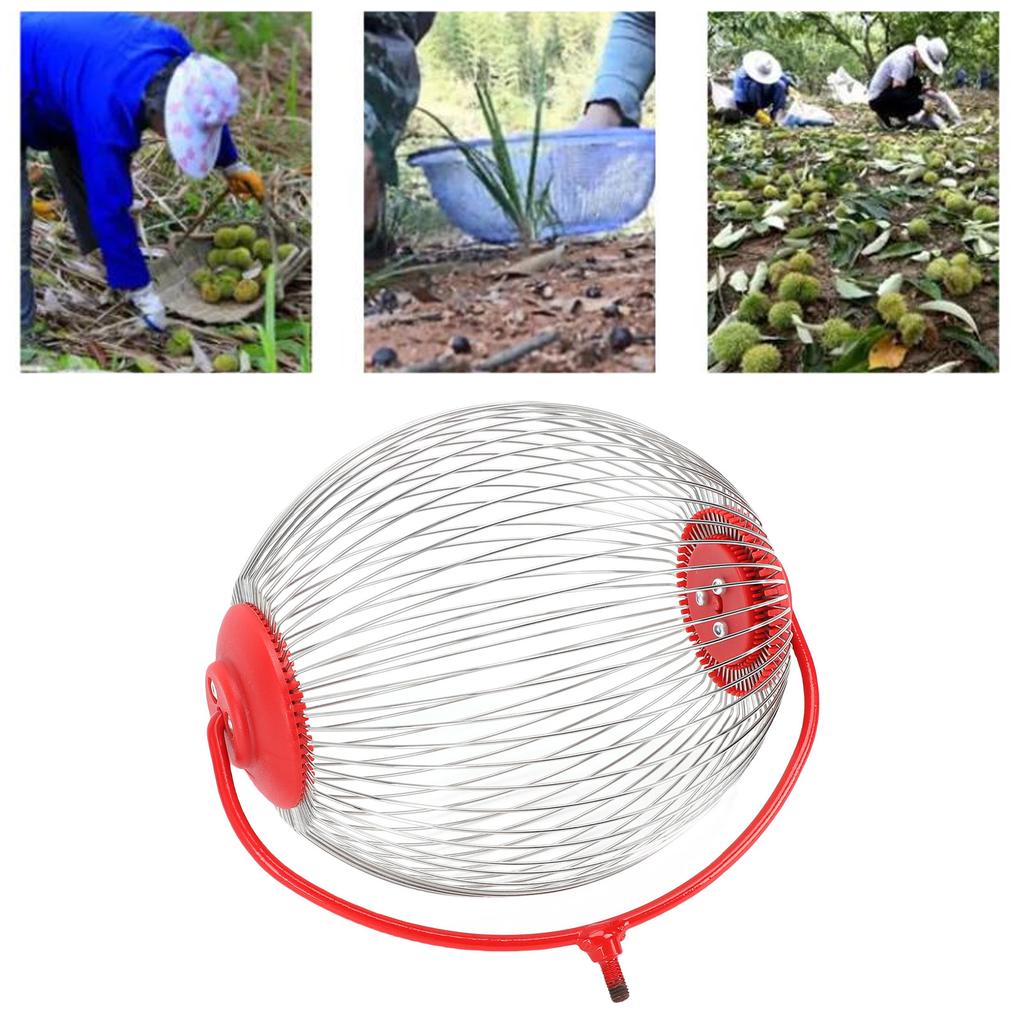 Nut Gatherer Stainless Steel   Collector Picker Upper Roller Fruit Picker for Toy   Acorns Pecans