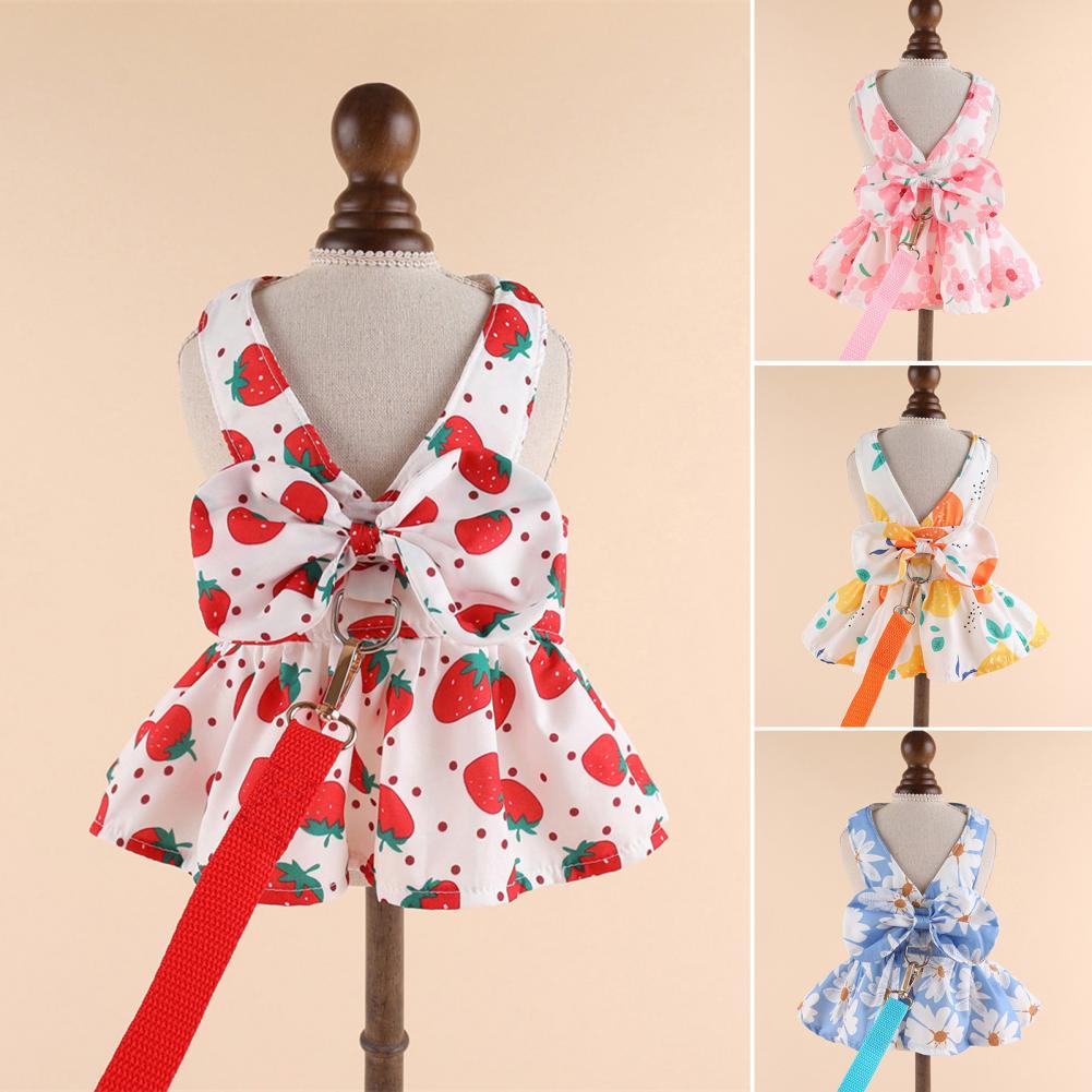 Cute Dog Dress Summer Outdoor Activities And Leash Set with Bowknot Decoration Pet Cat Princess Dress for Spring