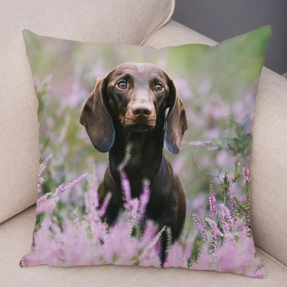 Mini Dackel Hund Kissenbezug Dekor Haustier Tier Kissenbezüge Superweicher Plüsch Kissenbezug für Sofa Zuhause Kinderzimmer 45x45cm