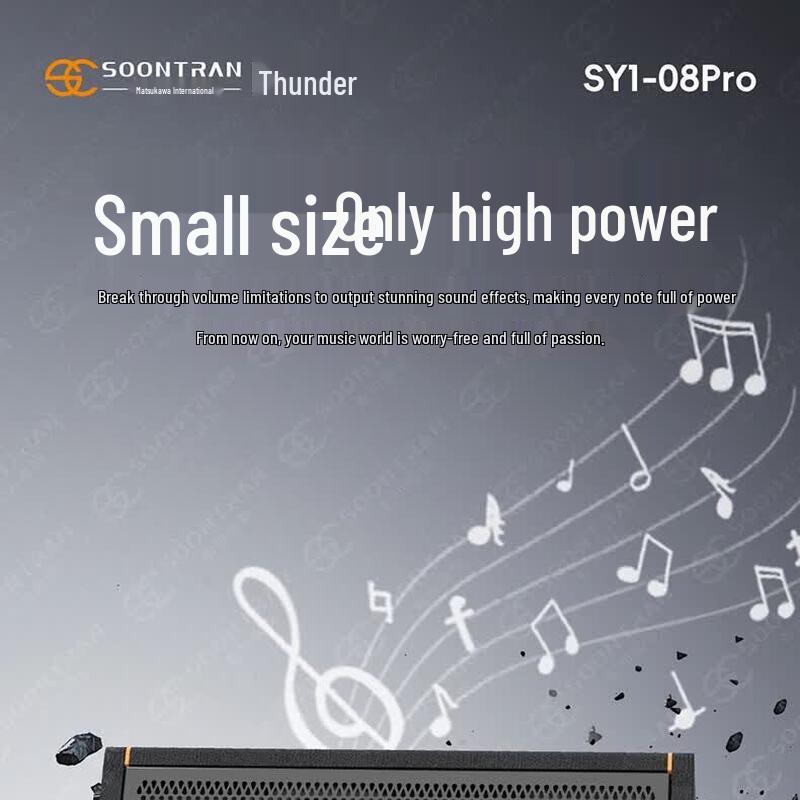 Songchuan SY1-08PRO 8-Inch Professional Bluetooth Speaker with Dual Microphones (CN Version)