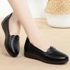 Spring and Autumn Women's Shoes: Round Toe, Cute, Stylish, Comfortable, Soft Sole, Slip-on, Flat, Low Heel, Casual Shoes