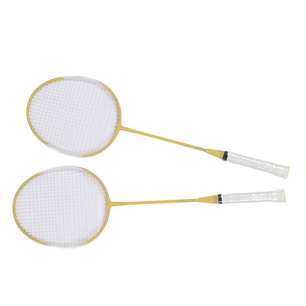 2 Player Badminton Set Low Vibration Strong Elasticity Iron Alloy Badminton Rackets Set with 3 Nylon Shuttlecocks Carry