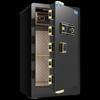 TIGER Smart Fingerprint & Password Safe