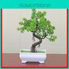 Realistic Artificial Bonsai With Container For Office Space And Coffee Shop Decor