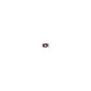 [July Sunshine] Scuba Keychain Plush Toy Cute Bear Schoolbag Back Charm Healing