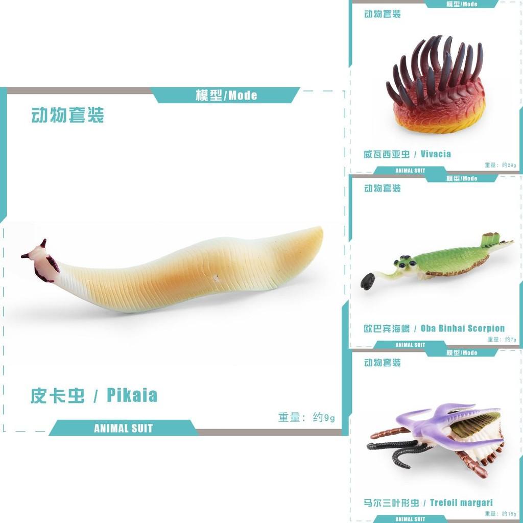 Realistic Ancient Marine Creature Model Collection Featuring Cambrian Anomalocaridids And More