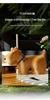 Cross-border New Collar Dog Pillow - Cute Toy Sofa Doll & West Highland Home Decoration