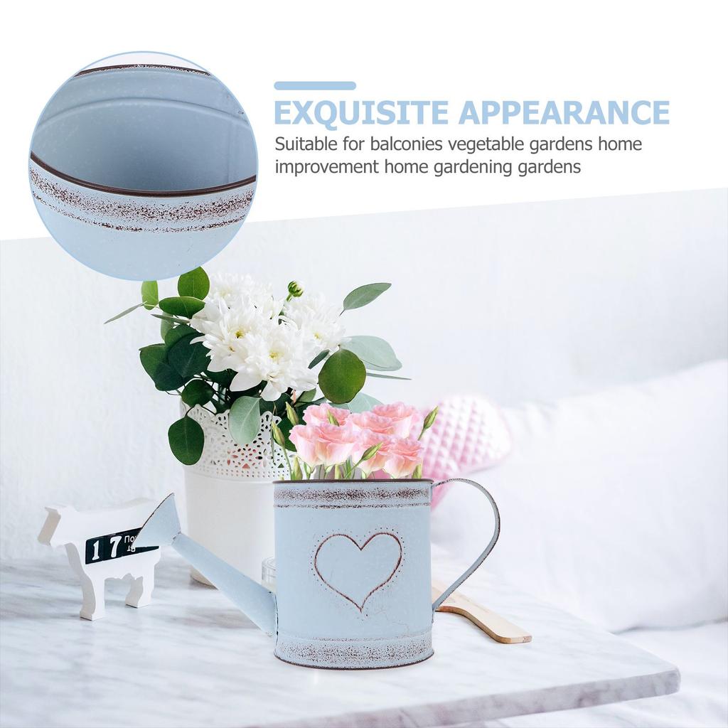 Gießkanne für Gartengestaltung Po Eisenvase Heimtopf Vintage Gartenarbeit Blume