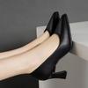New Style Single Shoes - Women's Pointed-toe Thick-heeled High-heeled Women's Shoes